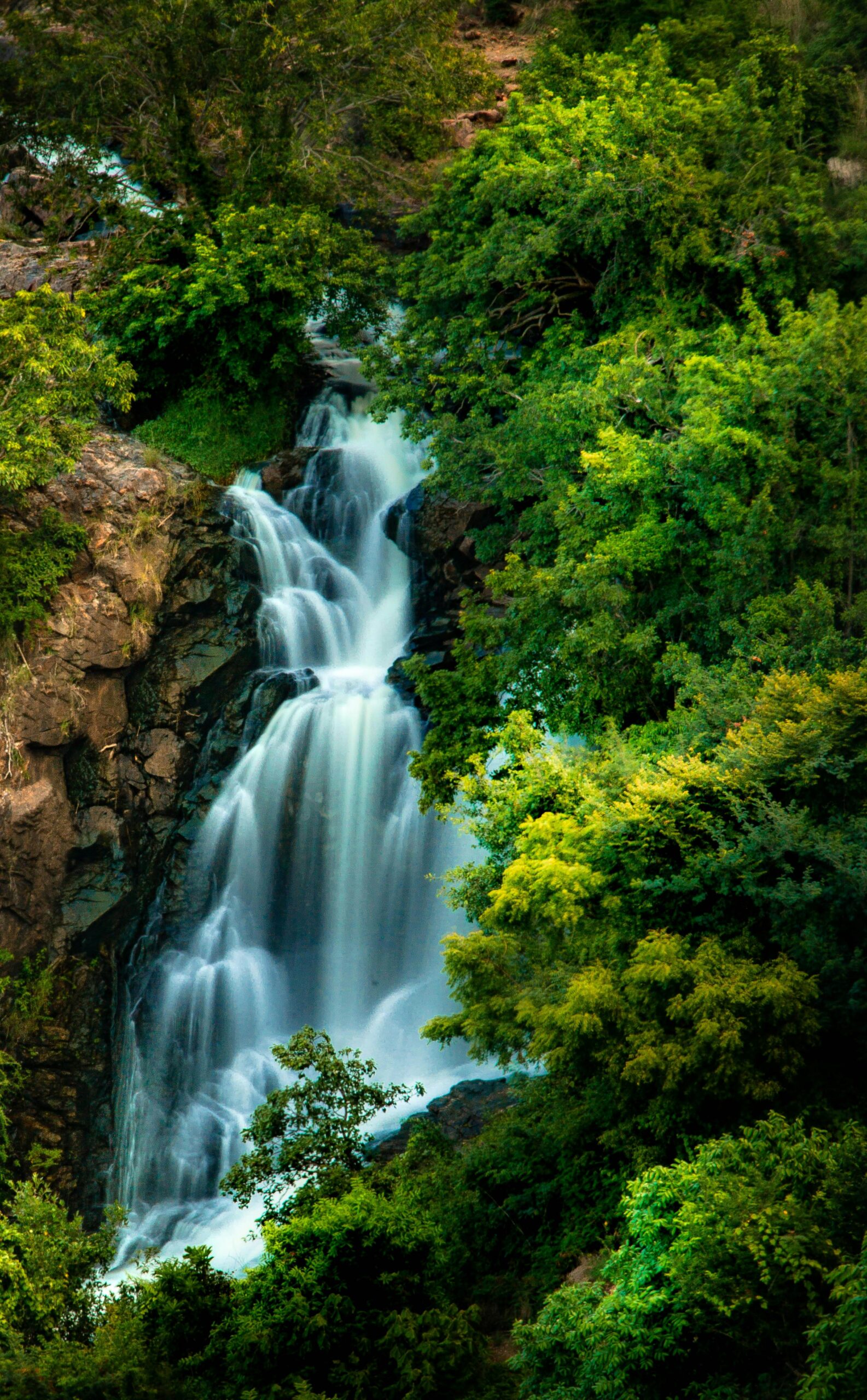 These are the largest waterfalls of India and people come from all over the world to see them.