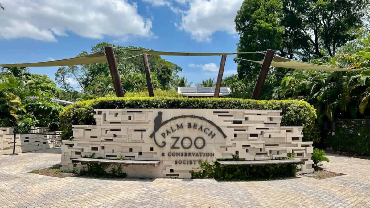 Exploring the Wonders of Palm Beach Zoo.