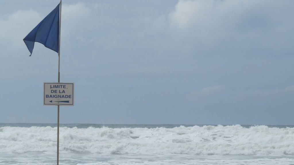 Purple Flag Beach: Watch Out for Jellyfish and Stinging Sea Creatures!