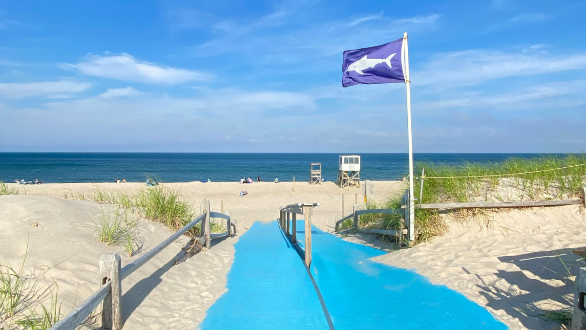 Understanding Destin Beach Flags.